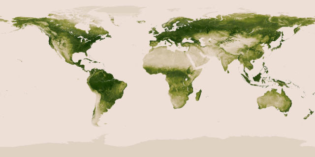 Maps Offer a Different Perspective on Understanding the World We Live in