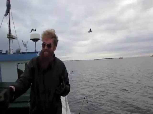 Badass Fisherman Catches Seagull Mid-Air 