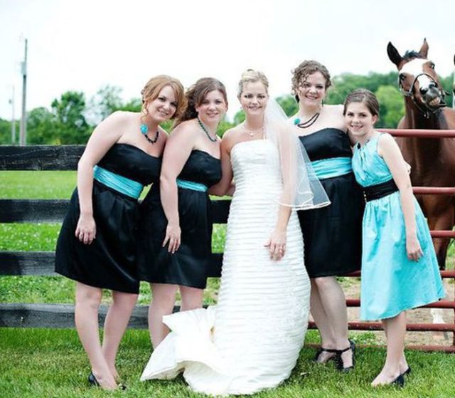 Hilarious Examples of Unexpected Wedding Photobombs