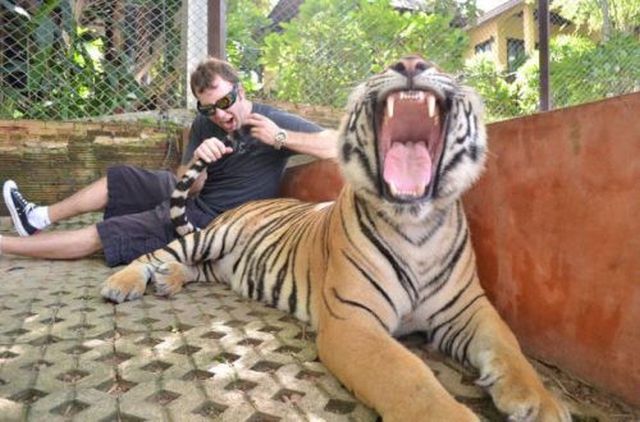 Photobombs That Should Win a Prize for Being Awesome