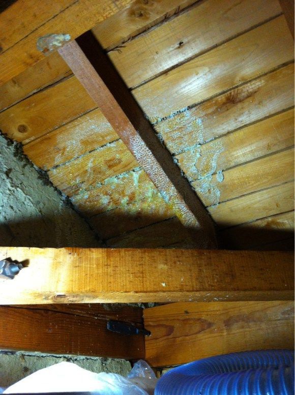A Simple and Smart Method of Removing a Beehive in Your Attic