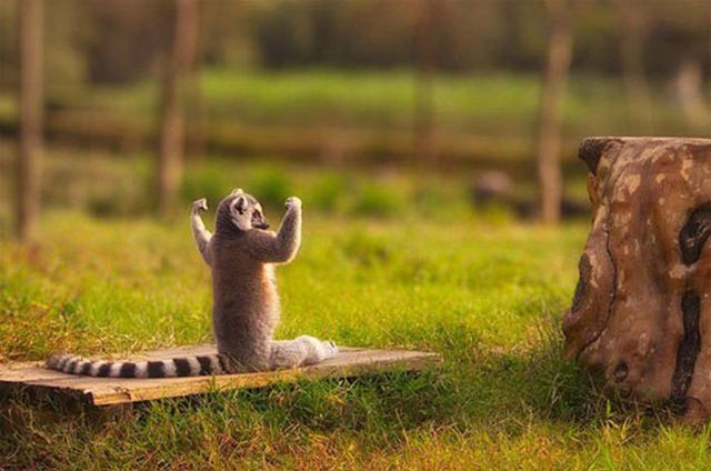 Poignant and Meaningful Life Moments That Show Us How Beautiful Life Is