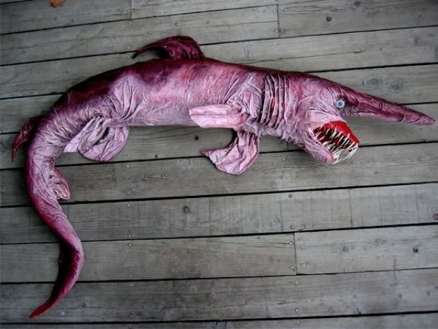 Real-Life Bizarre Creatures That Really Exist