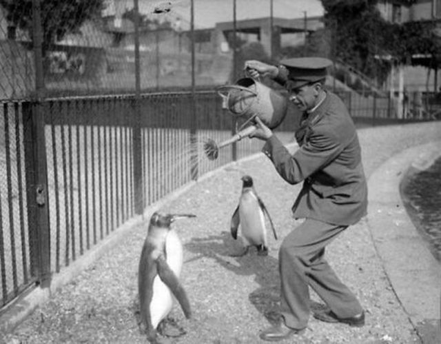 Vintage Black and White Photos That Capture a Classic Time in History