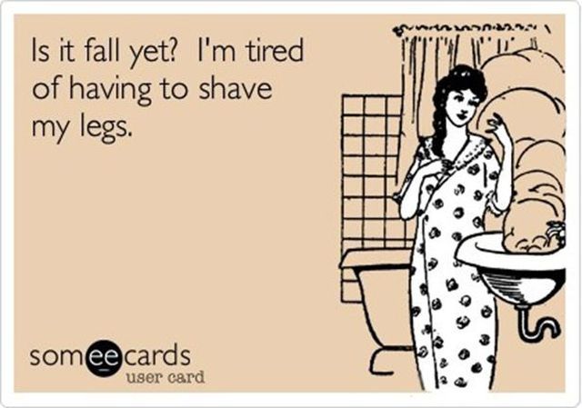 Funny E-Cards That Tell It Like It Is