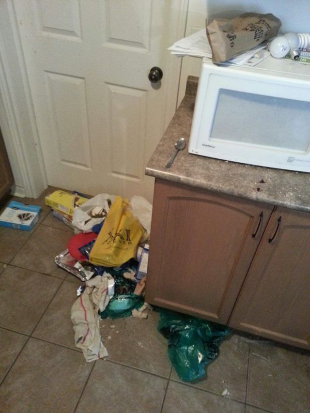 Owners Come Home to This After Summer Renters Leave