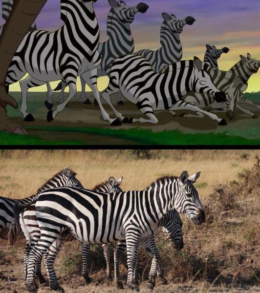 Safari Holiday Snaps vs. Stills from the “The Lion King”