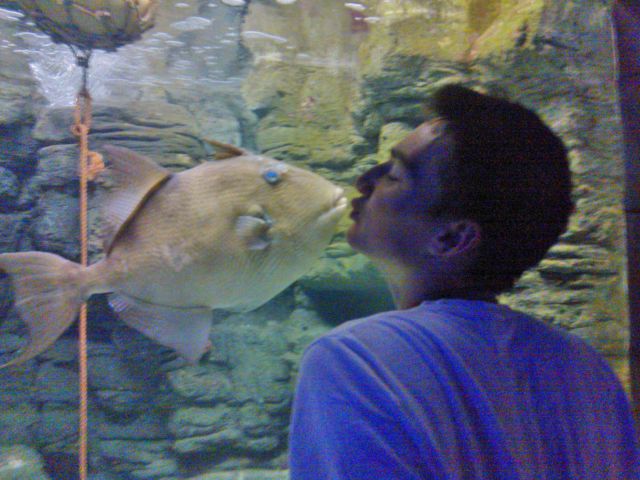fish kiss