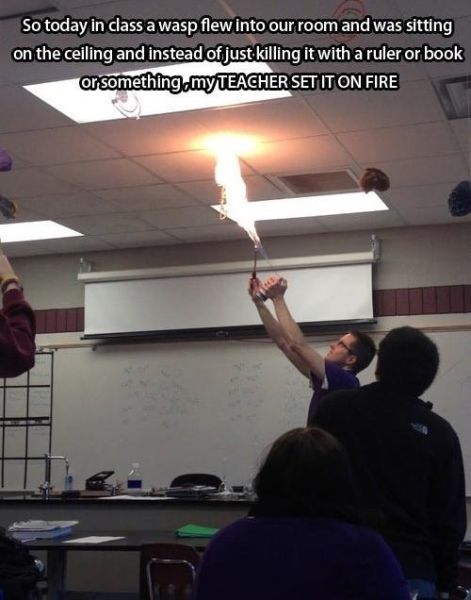 These Teachers All Get Top Marks for Awesomeness