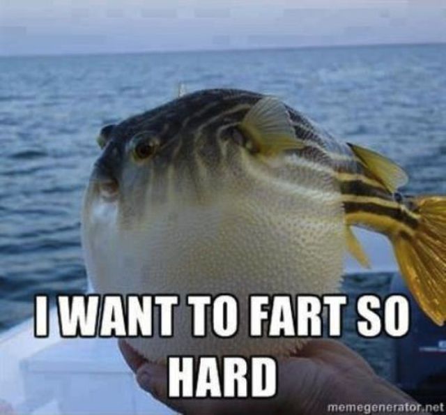Silly and Amusing Captioned Pictures