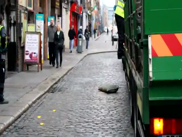 How They Unload Beer Kegs to Local Pubs in Ireland 