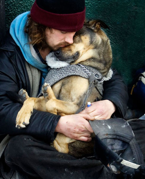 Why Dogs are the Greatest Friend a Man Could Have
