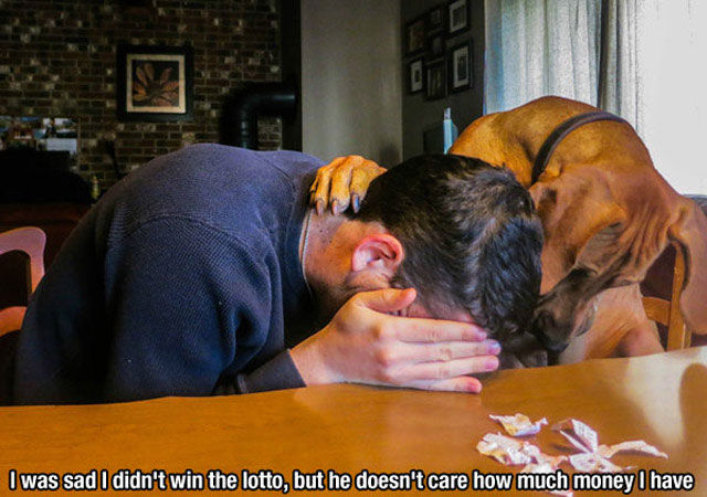 Why Dogs are the Greatest Friend a Man Could Have