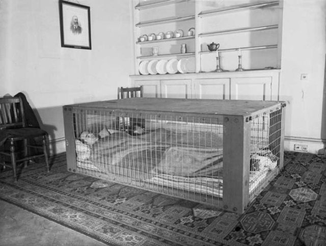 A Popular Indoor Home Shelter from the War Years