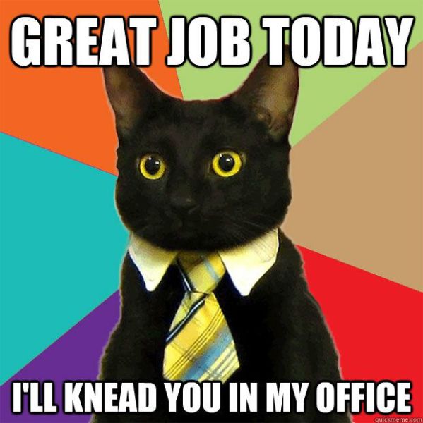 A Small Selection of the Business Cat Memes