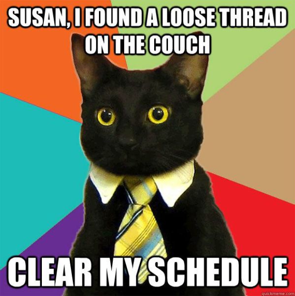 A Small Selection of the Business Cat Memes