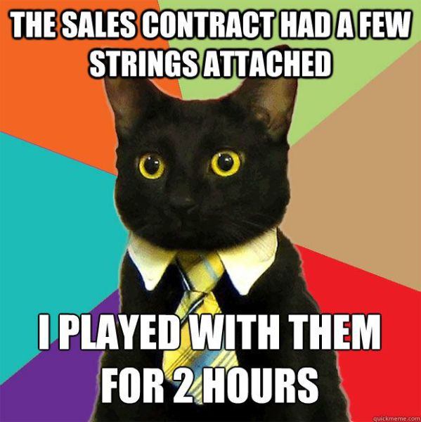 A Small Selection of the Business Cat Memes (39 pics ...