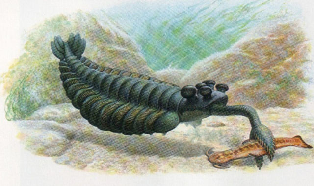 Unusual Alien-Like Creatures That Really Existed in Prehistoric Times
