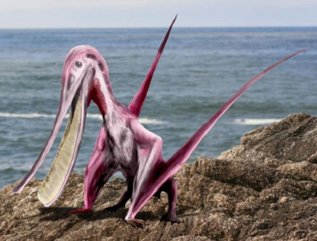Unusual Alien-Like Creatures That Really Existed in Prehistoric Times