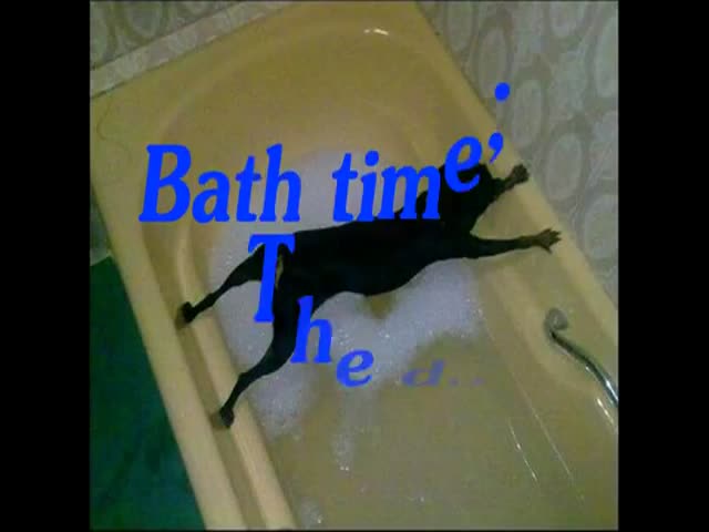Dogs vs Baths: Funny Compilation 