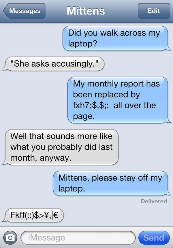 A Texting-Cat: Enough Said