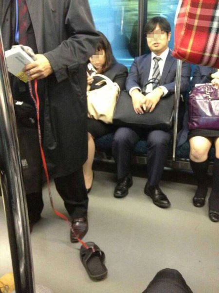 Public Transport Attracts All the Weirdos