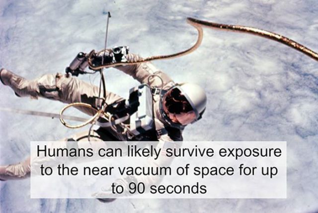 Random Insightful Facts That Will Make You Smarter