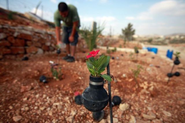 Palestinians Create a Piece of Beauty using War Paraphenalia