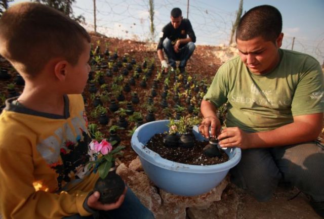 Palestinians Create a Piece of Beauty using War Paraphenalia