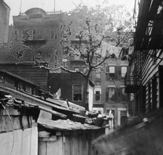 The Slumdogs of a New York City Gone By