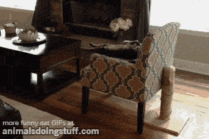 Funny GIF Representations of Classic Moments in Your Life