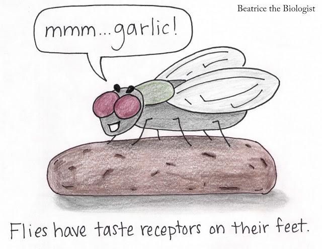 Funny Picdump