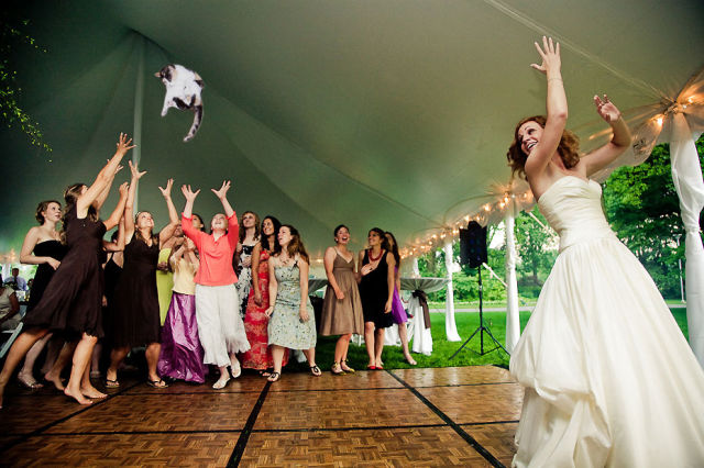 Funny Snaps of the Bride “Cat Toss”