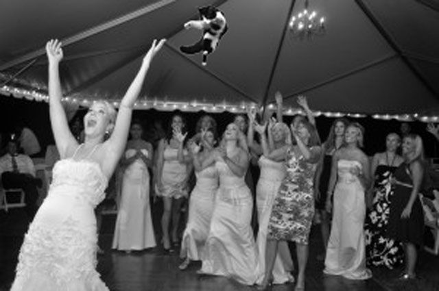 Funny Snaps of the Bride “Cat Toss”