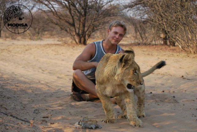 The Man Who Lived with Lions in Africa