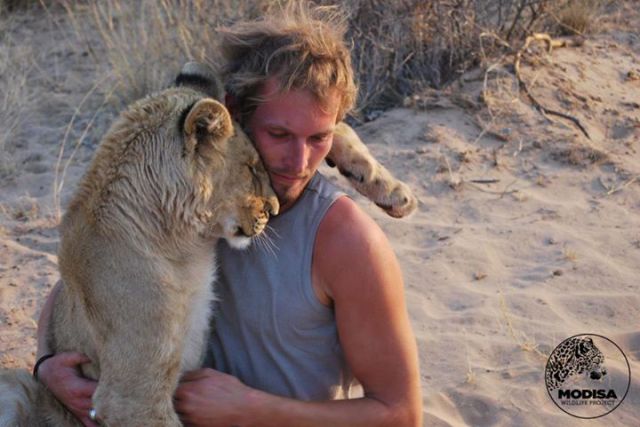 The Man Who Lived with Lions in Africa