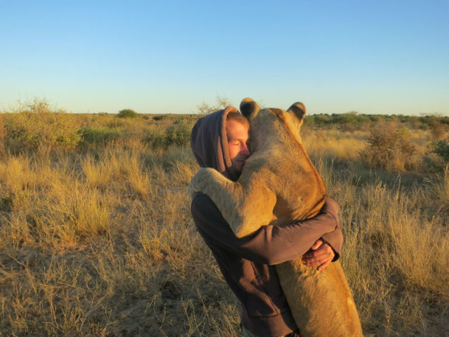 The Man Who Lived with Lions in Africa