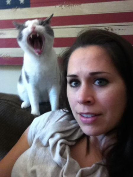 A Photobomb Round-Up That Will Make Your Monday Brighter