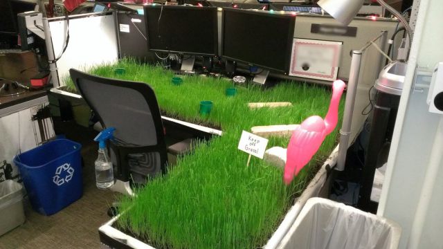 Funny Practical Joke to Play at Work