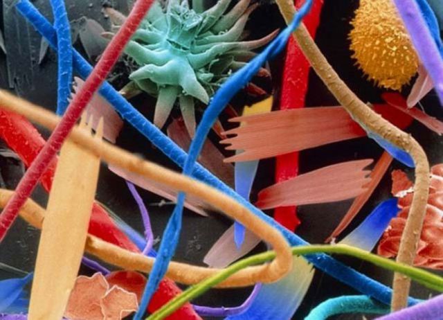 Microscopes Turn Ordinary Every Day Things Into Little Works of Art
