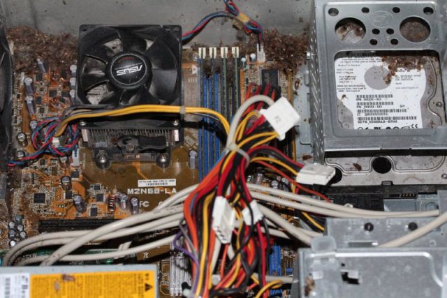 So This Computer Had a Little Bit of Dust Inside