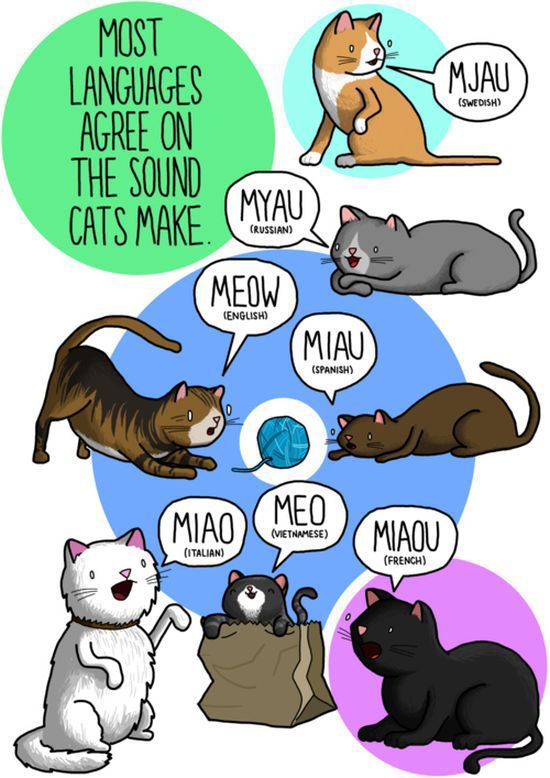 What Animal Noises Sound Like in Other Language