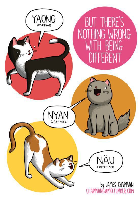 What Animal Noises Sound Like in Other Language