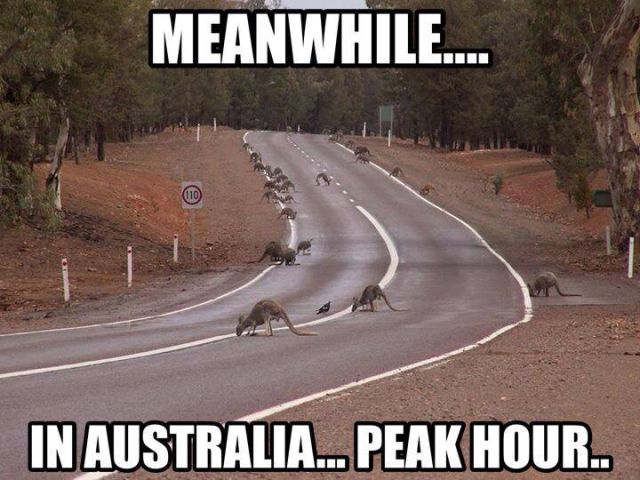 Australian Life Is Not for Everyone