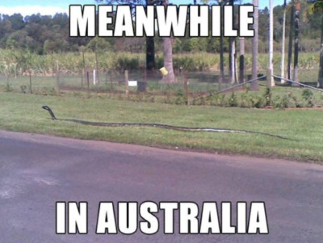 Australian Life Is Not for Everyone
