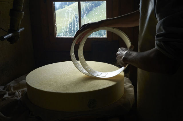 How Real Swiss Cheese Is Made