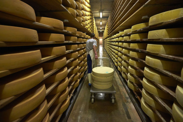 How Real Swiss Cheese Is Made