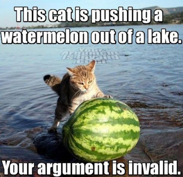 It’s a Fact…Your Argument Is Invalid