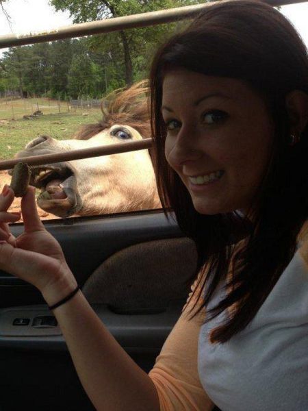 Epic Animal Photobombs