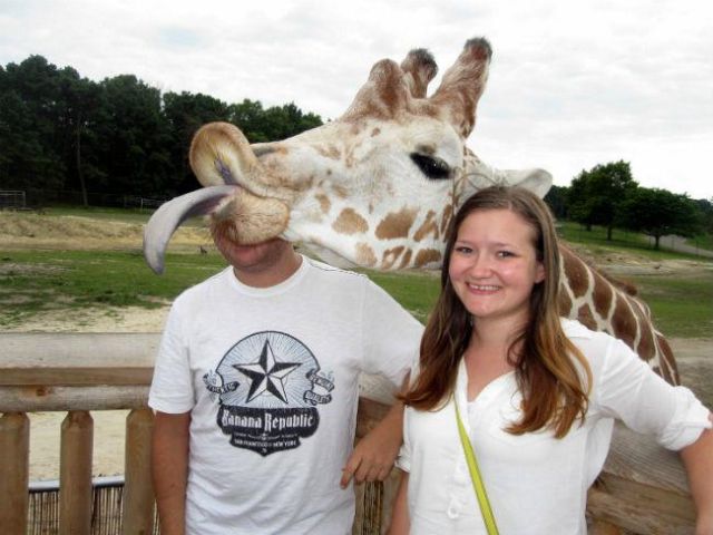 Epic Animal Photobombs